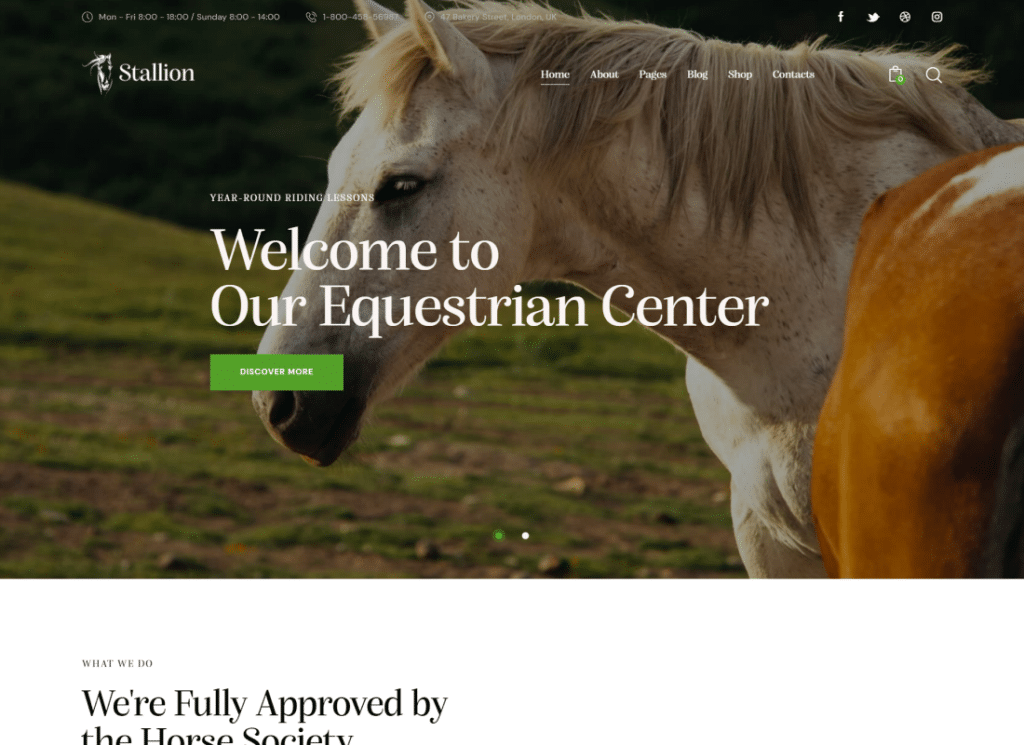 Stallion - Bir Binicilik Kulübü ve Binicilik Okulu WordPess Teması