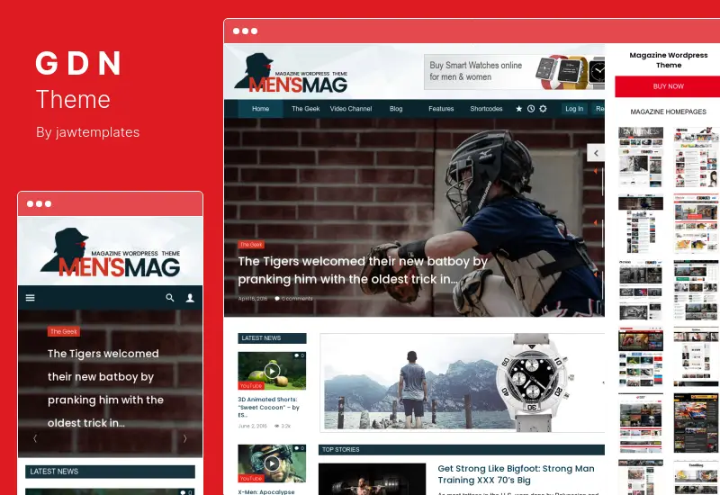 Tema GDN - Tema WordPress pentru revistă modernă