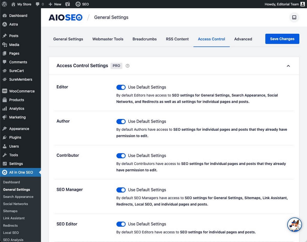 AIOSEO 액세스 제어