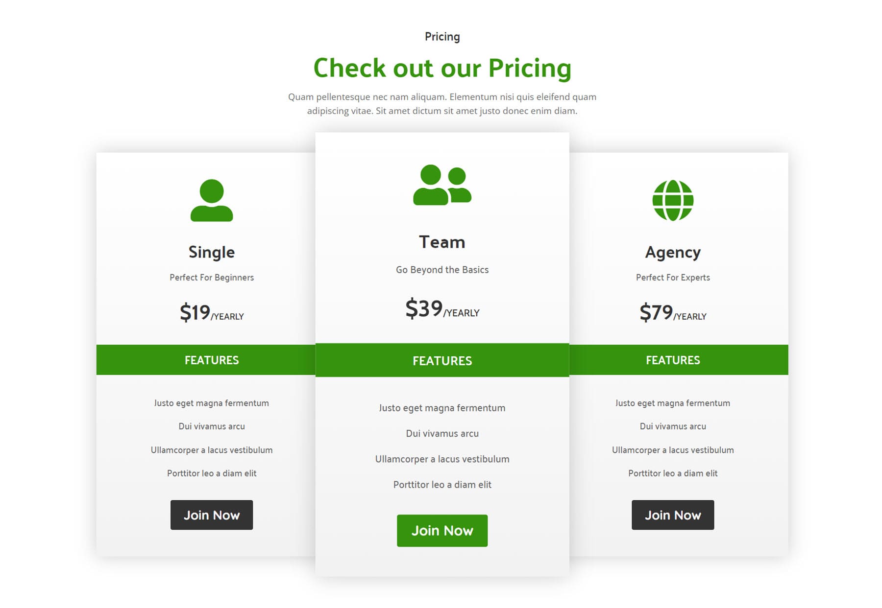 Divi 产品亮点 Divi Designer Pack 定价 12