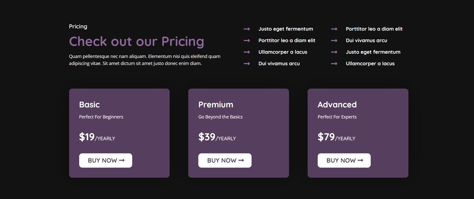 Divi 产品亮点 Divi Designer Pack 定价 Dark 12