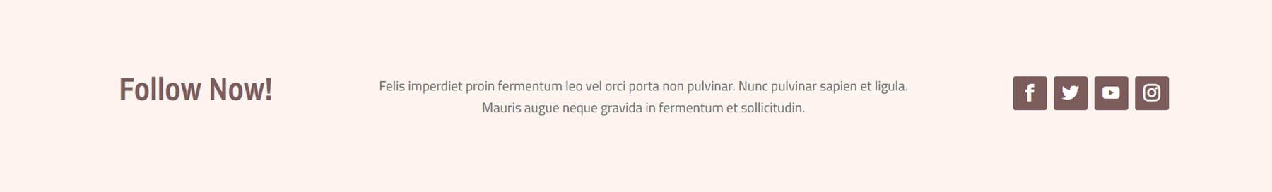 Divi 产品亮点 Divi Designer Pack CTA 10