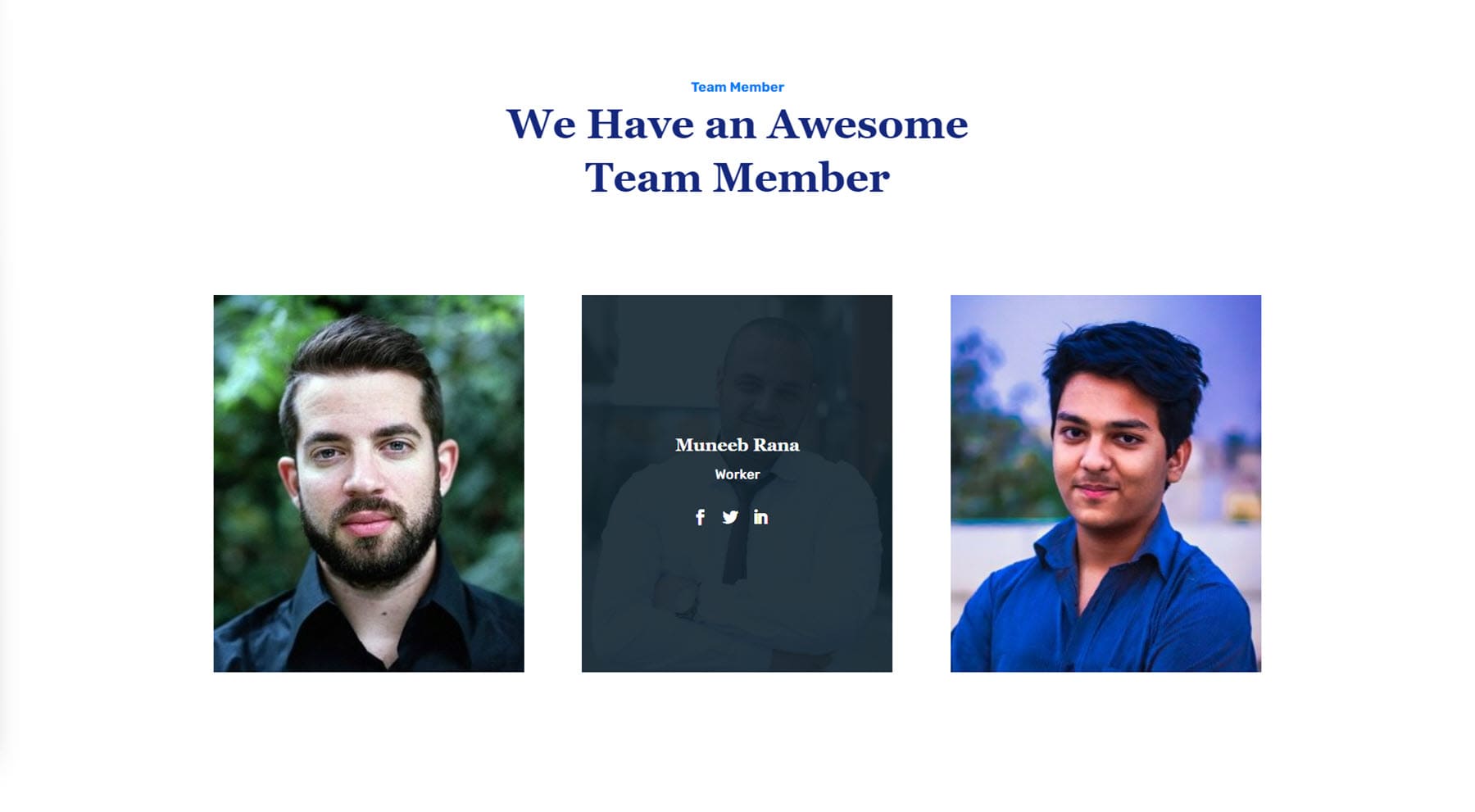 Divi 产品亮点 Divi Designer Pack Team 8