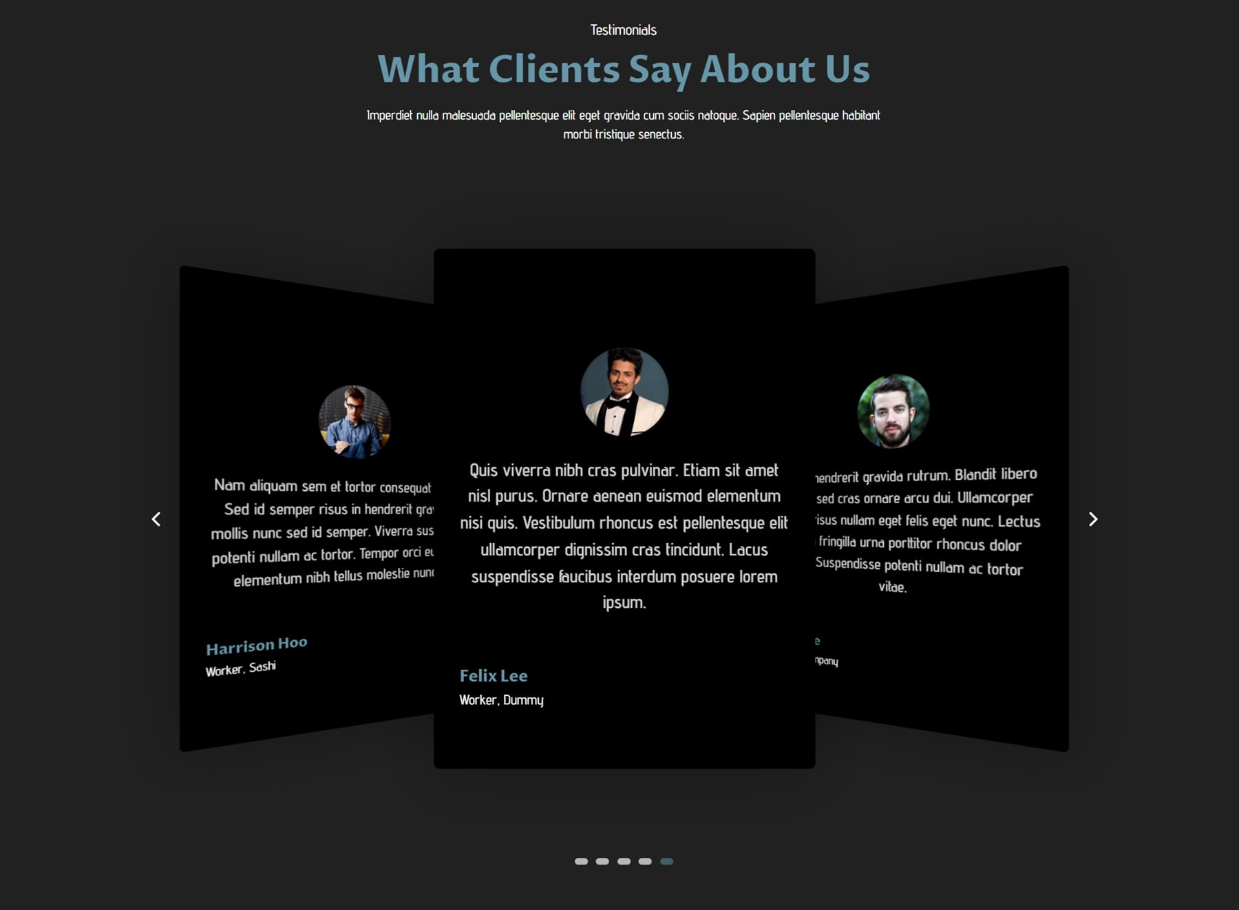 Divi 产品亮点 Divi Designer Pack Carousel Dark 7