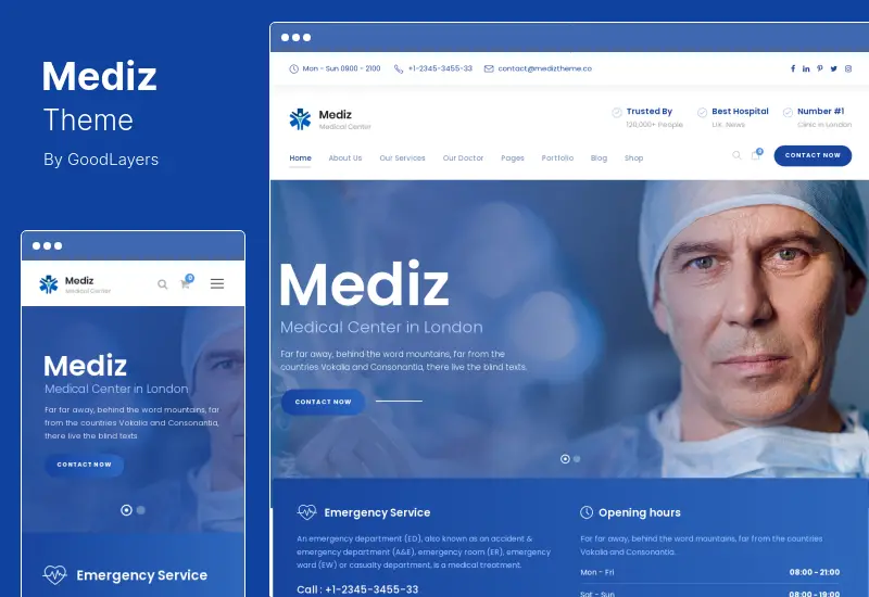 Mediz Theme - 의료용 워드프레스 테마