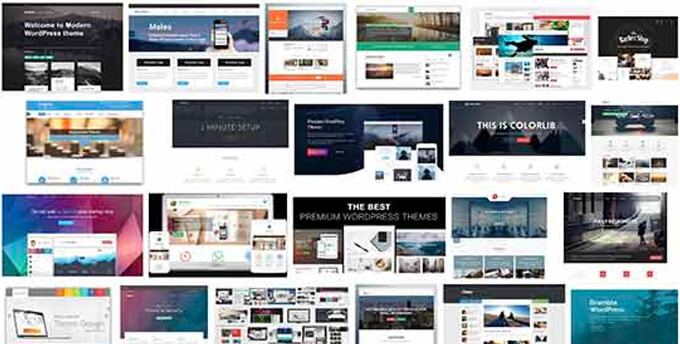 WordPress 테마 통계 WordPress Theme Stats