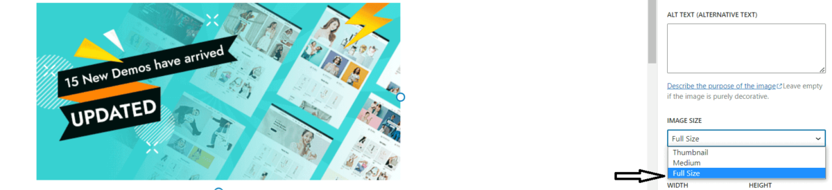 如何将 GIF 添加到 WordPress(2023)81 gif full size option
