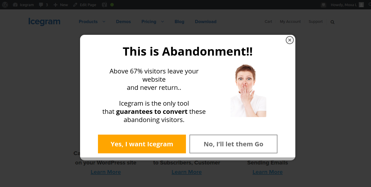 Popup maksud keluar Icegram WordPress