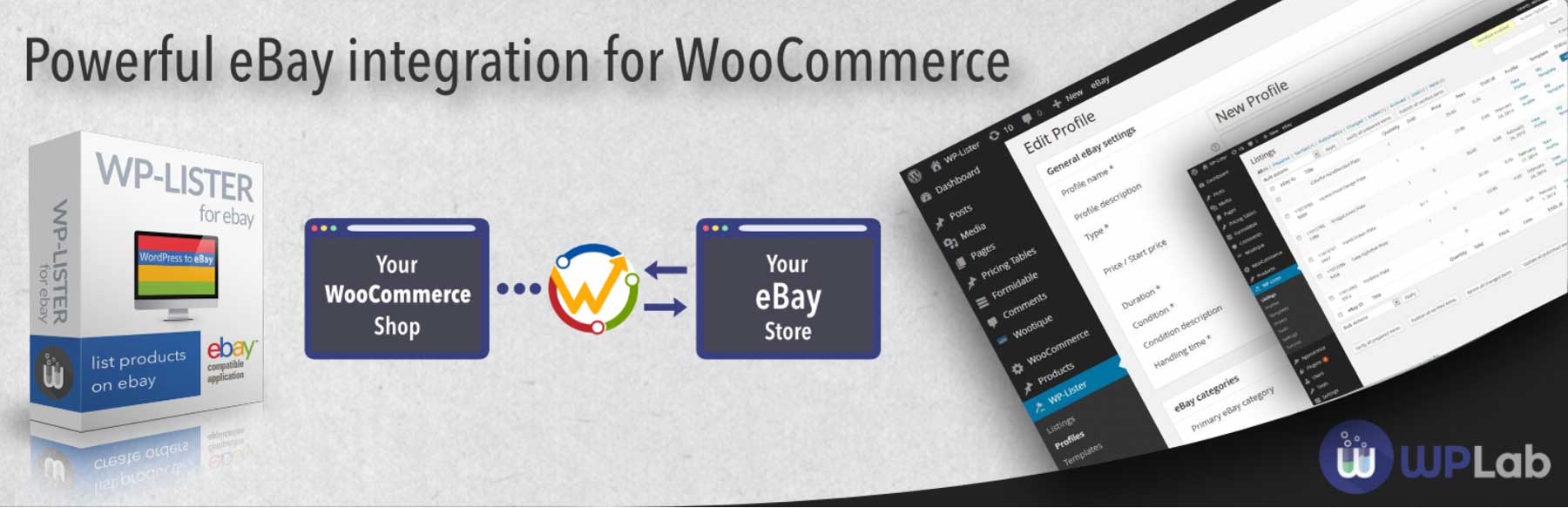 WP Lister Lite para el complemento de subasta de eBay