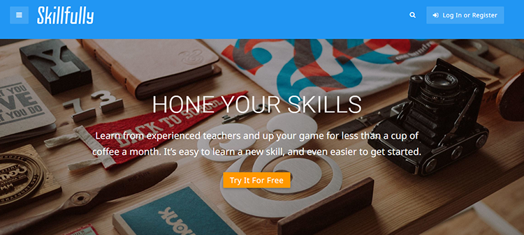 Las 8 mejores opciones para sitios web de cursos en línea 82 online course - skillfully image