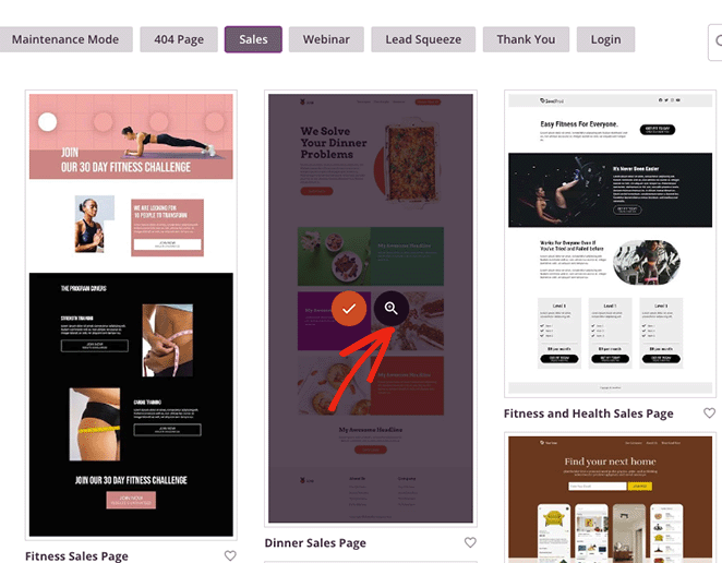 previewlandingpagetemplate SeedProd Preview a landing page template
