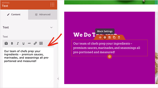 copia della pagina di destinazione SeedProd Customize your landing page copywriting