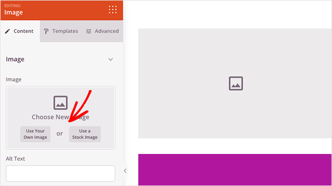 uploadcustomimage SeedProd Upload custom images to your landing page to test idea