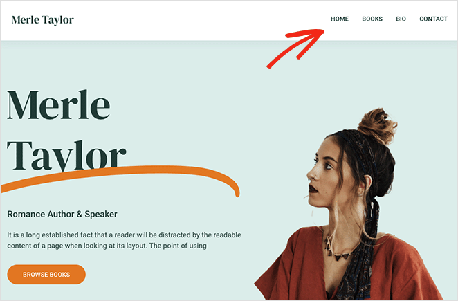 导航菜单示例 SeedProd Navigation menu example WordPress