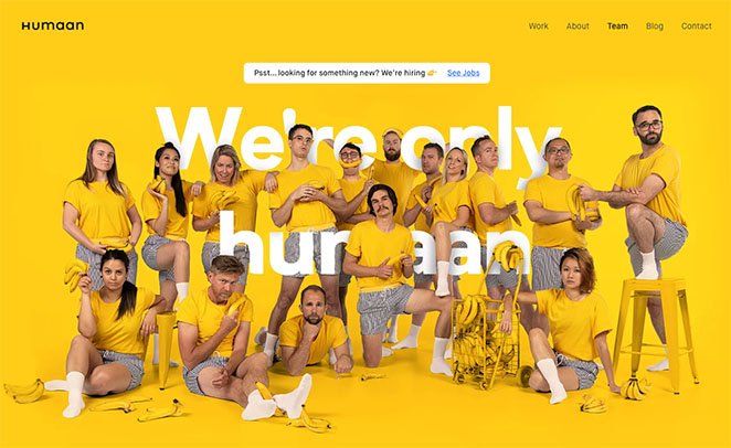 humanmeettheteampage 种子产品 Humaan meet the team page example