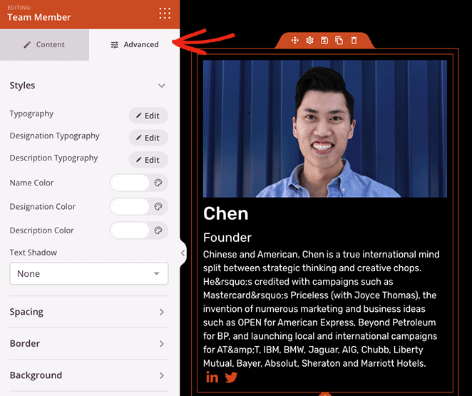 高级团队成员设置 SeedProd Advanced team member block settings