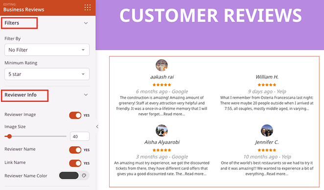 필터리뷰어정보 SeedProd Business review filters and reviewer info settings