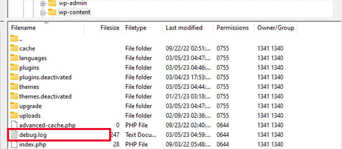 Jurnal de depanare Debug log