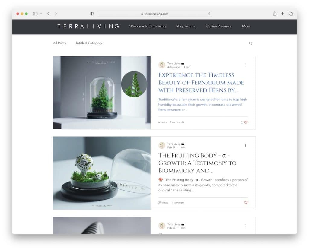 terra living wix 博客示例
