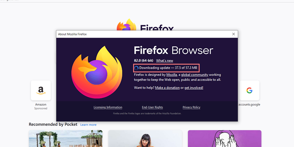 วิธีแก้ไขข้อผิดพลาด SSL_ERROR_NO_CYPHER_OVERLAP Firefox (4 วิธี) 5 Downloading Firefox browser Updates
