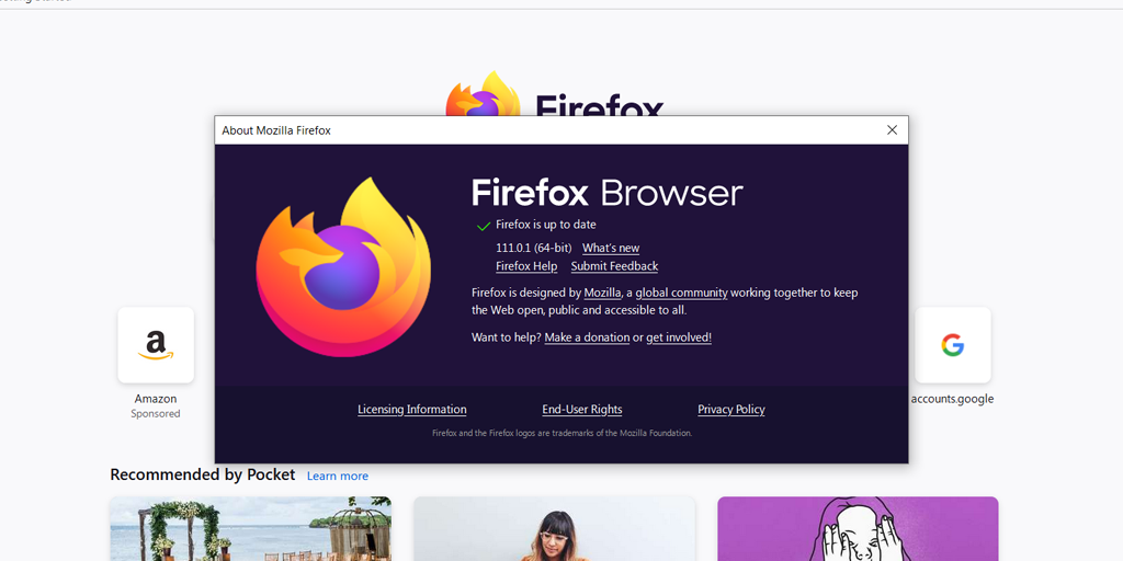 วิธีแก้ไขข้อผิดพลาด SSL_ERROR_NO_CYPHER_OVERLAP Firefox (4 วิธี)7 Firefox Browser is up to date
