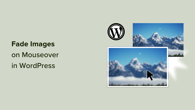 WordPress'te fareyle üzerine gelindiğinde görüntüler nasıl soluklaştırılır How to fade images on mouseover in WordPress