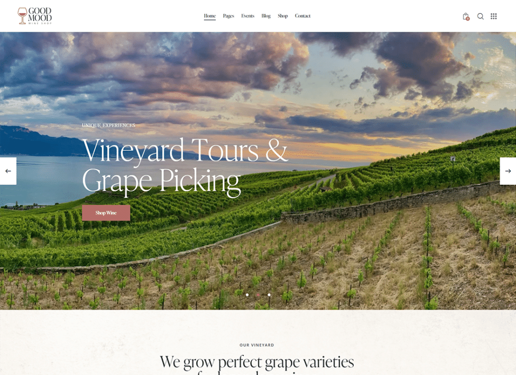 Bom humor - tema WordPress para loja de vinhos