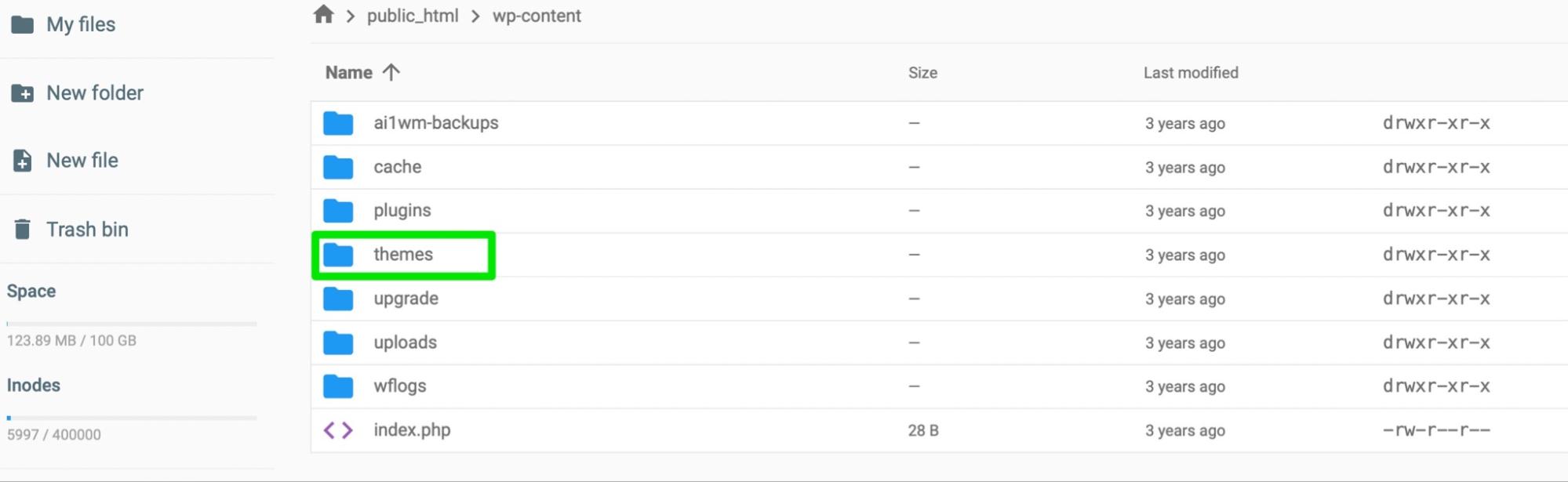 โฟลเดอร์ Themes ที่วงกลมด้วยสีเขียว