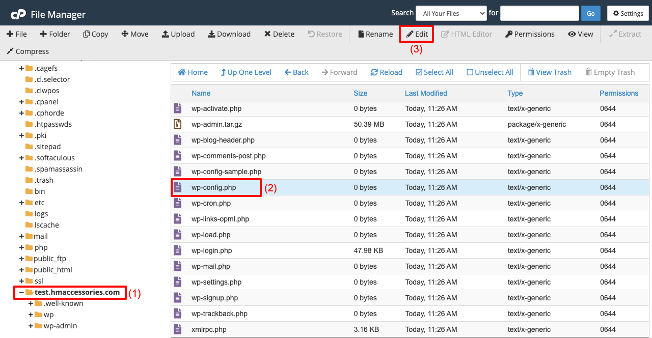 3 つの異なる方法で WordPress サイトを複製する方法 10 Edit the WP Config File