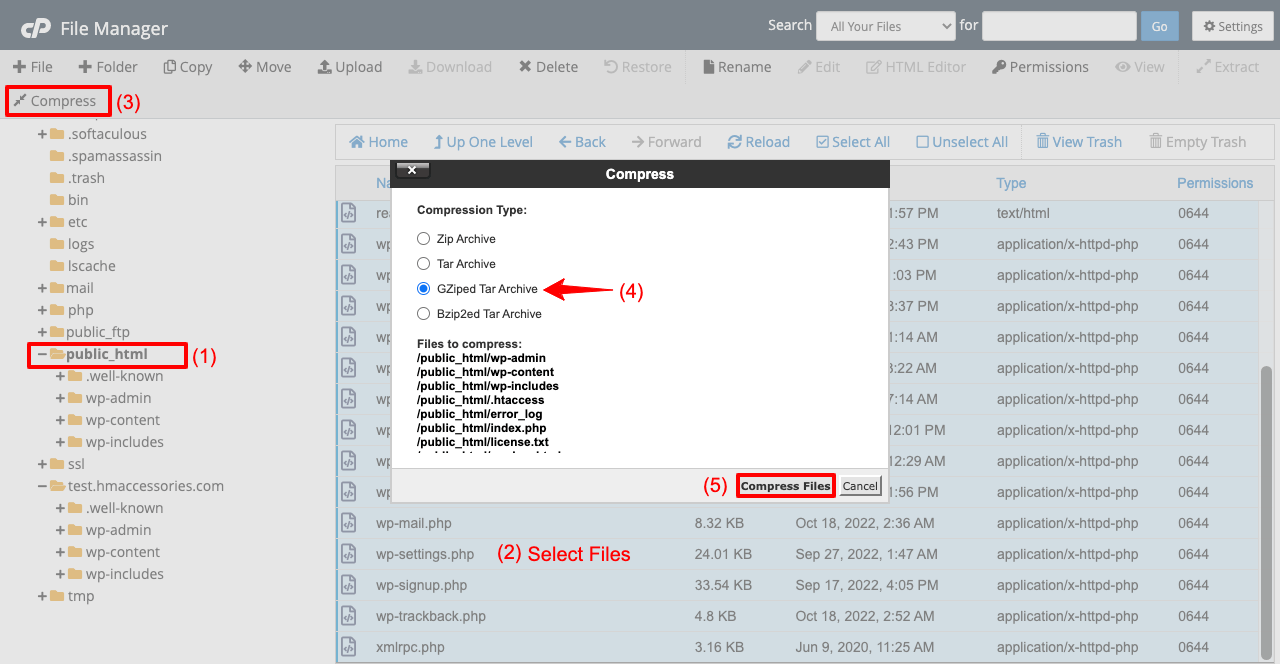 3 つの異なる方法で WordPress サイトを複製する方法 6 Download files from the directory of original site to clone the website on a different server