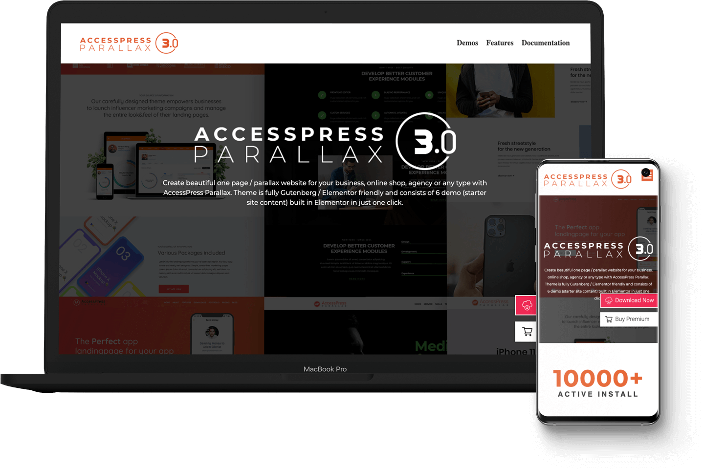 AccessPress 시차