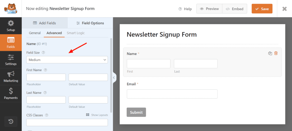 Opțiuni de personalizare WPForms