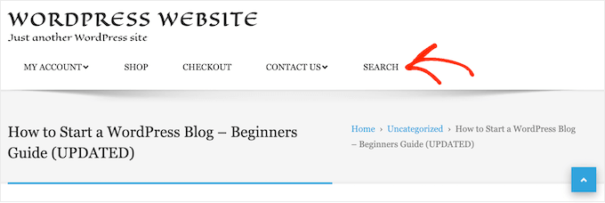 Un exemplu de bară de căutare, într-un meniu de navigare An example of a search bar, in a navigation menu