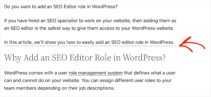 Un divizor personalizat creat folosind editorul de blocuri WordPress A custom divider created using the WordPress block editor