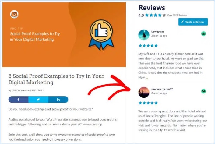 أداة TripAdvisor وورد