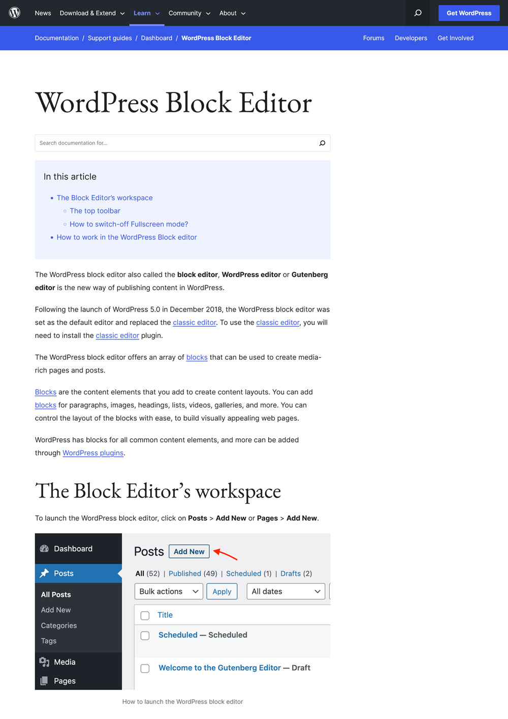 страница поддержки редактора блоков wordpress
