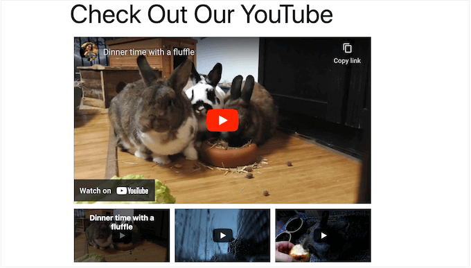 youtubegalleryตัวอย่าง SeedProd YouTube video gallery example