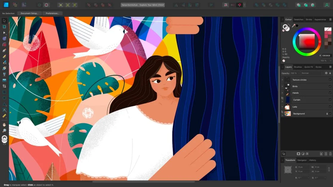 Mejor colección de software de diseño gráfico para diseñadores 79 affinity designer