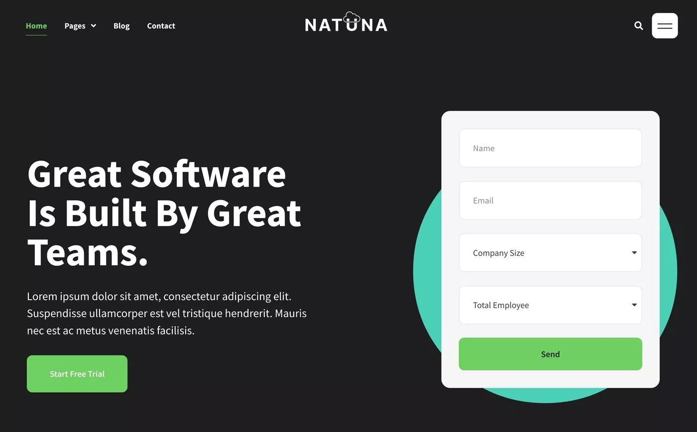 Natuna 软件模板