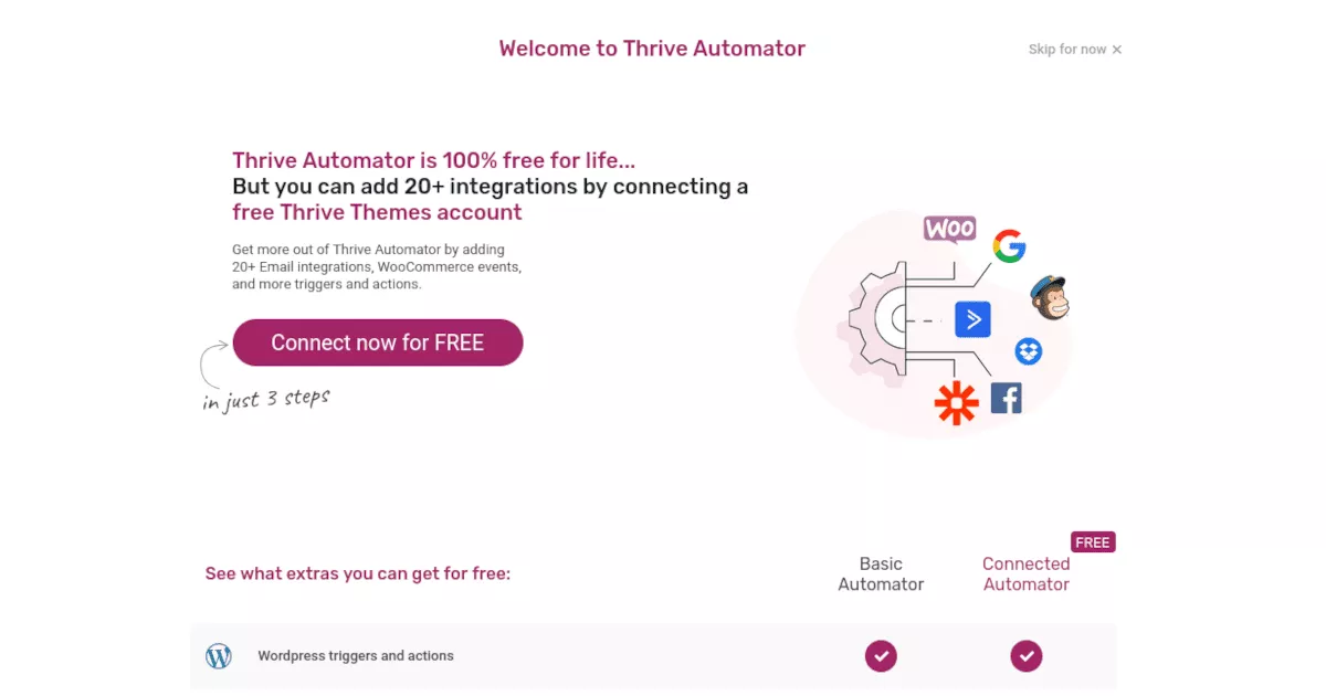 Thrive Automator ダッシュボード