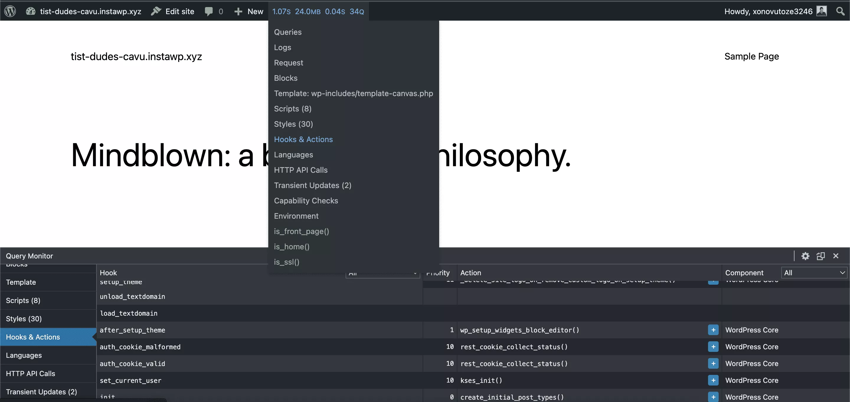 Przykład karty Hooks & Actions w Query Monitor używanej do debugowania