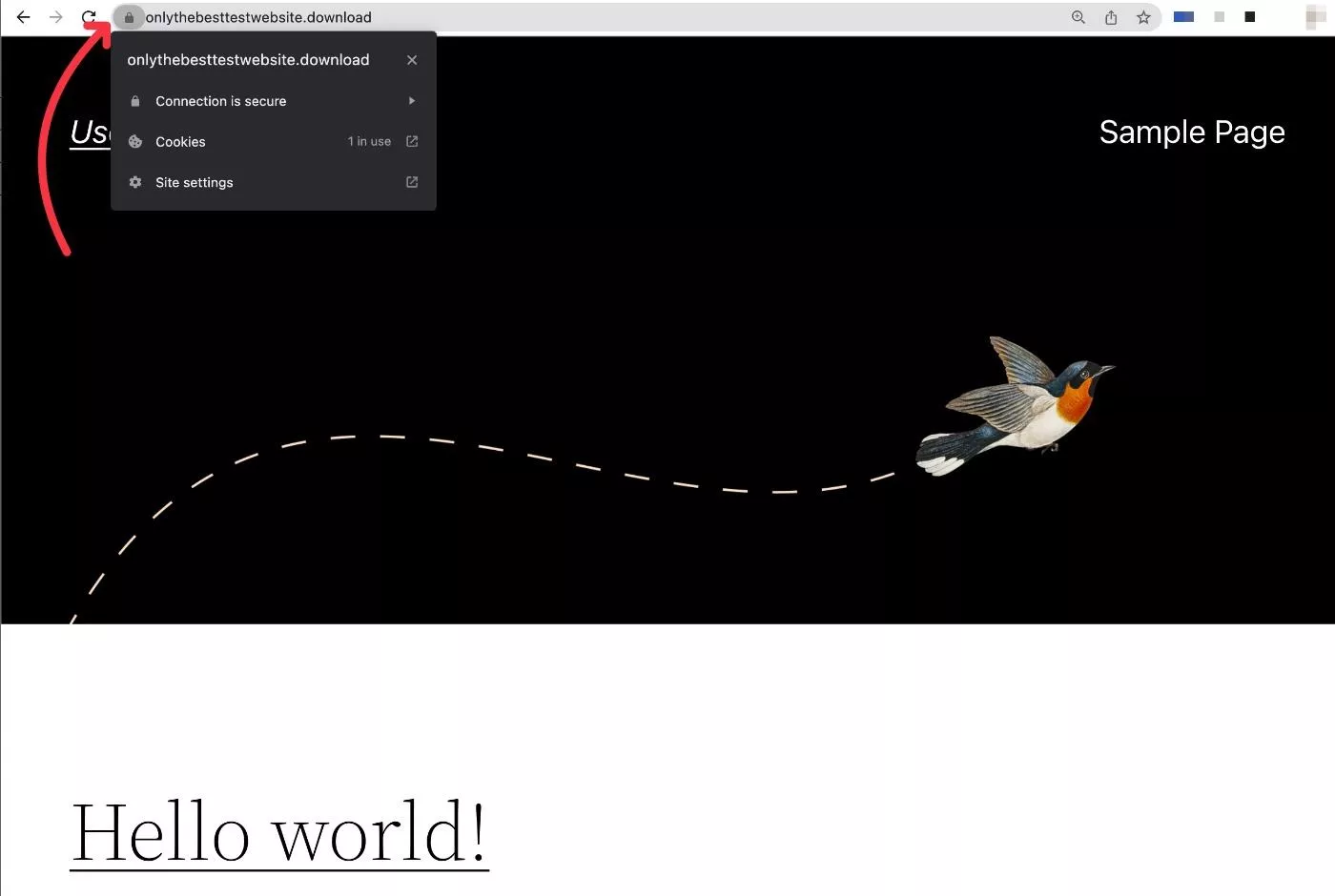 带有 SSL 证书的 WordPress 站点