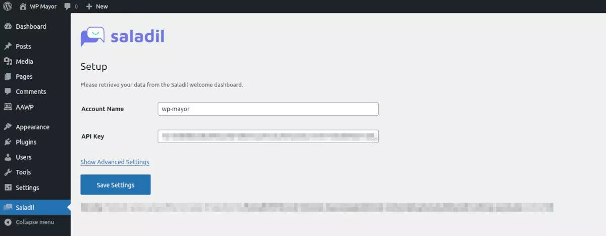 tangkapan layar menu Saladil di WordPress