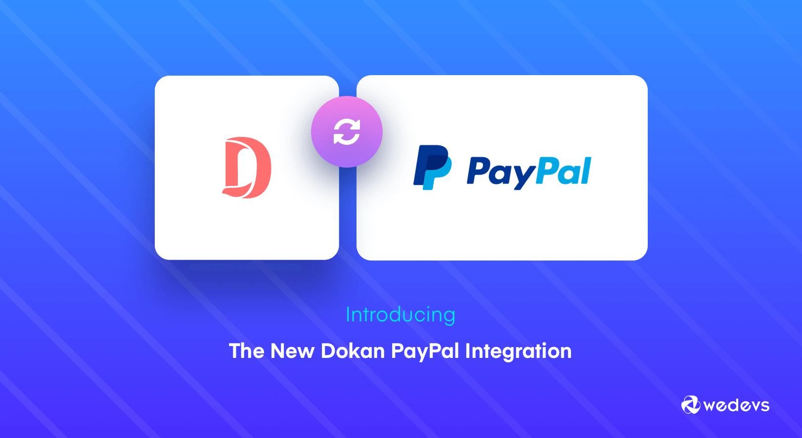 Intégration Dokan PayPal : la flexibilité est désormais à vous en tant que propriétaire de Marketplace ! Principales fonctionnalités de Dokan