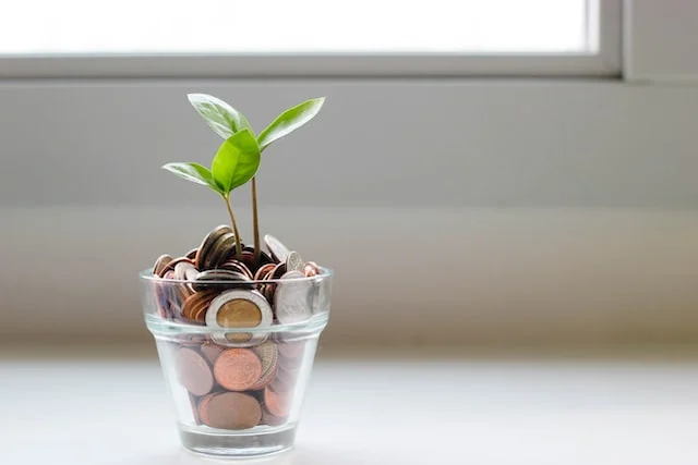 DNS란 무엇입니까? 79 lowcost - save money