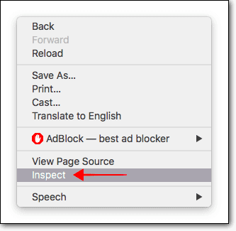 Browser prüfen