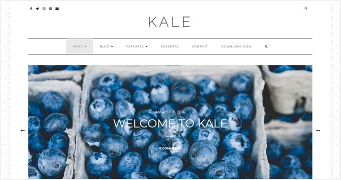 ผักคะน้า Kale