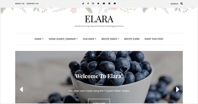 เอลาร่า Elara Pro