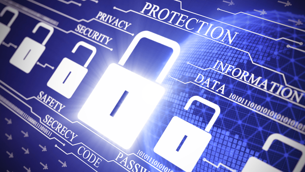 vulnerabilità del sito web