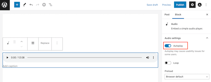 WordPress 自动播放和循环设置 The WordPress autoplay and loop settings